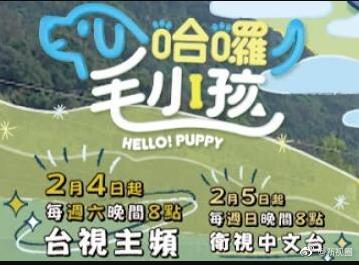 哈啰！毛小孩